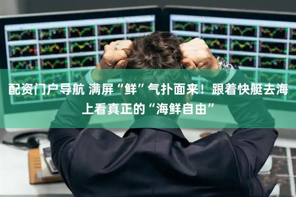 配资门户导航 满屏“鲜”气扑面来！跟着快艇去海上看真正的“海鲜自由”